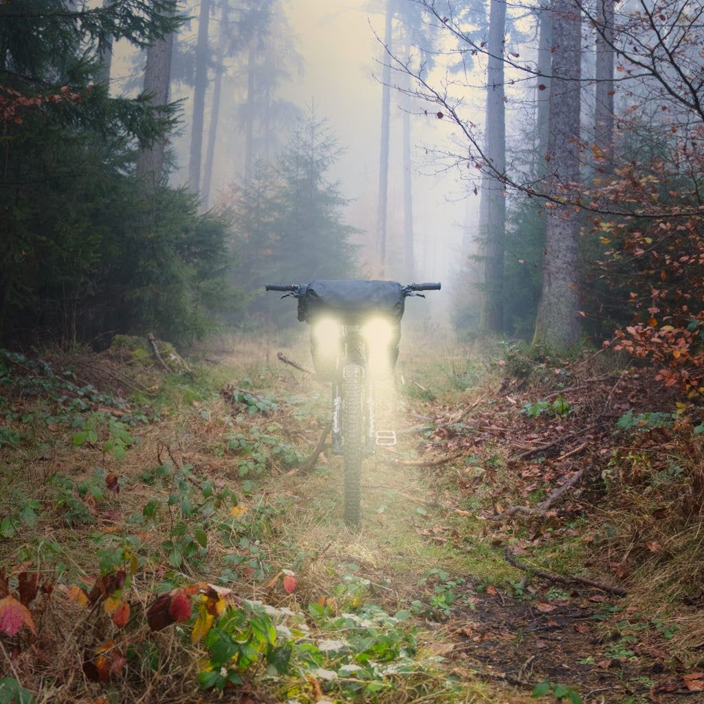 Fahrrad mit zwei Lampen und MiNSANE FullyLoaded Lenkertasche im Wald.