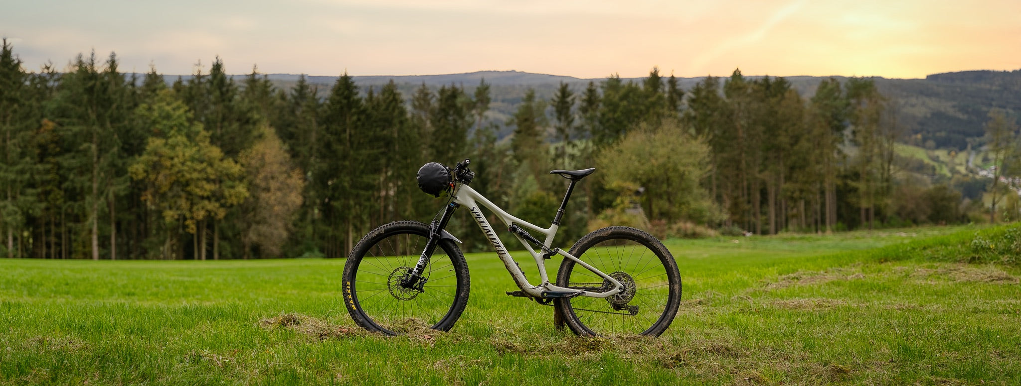 Minsane Lenkertasche an Mountainbike auf einer Wald Lichtung mit Wiese.