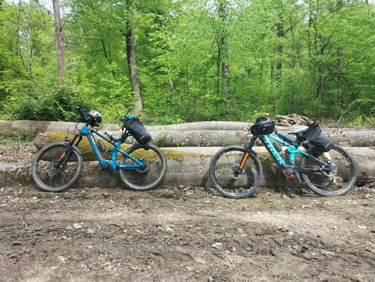 Zwei E-Mountainbikes im Wald angelehnt an Baumstämmen. Beide mit FullyLoaded Pro Gepäckträger ausgestattet.