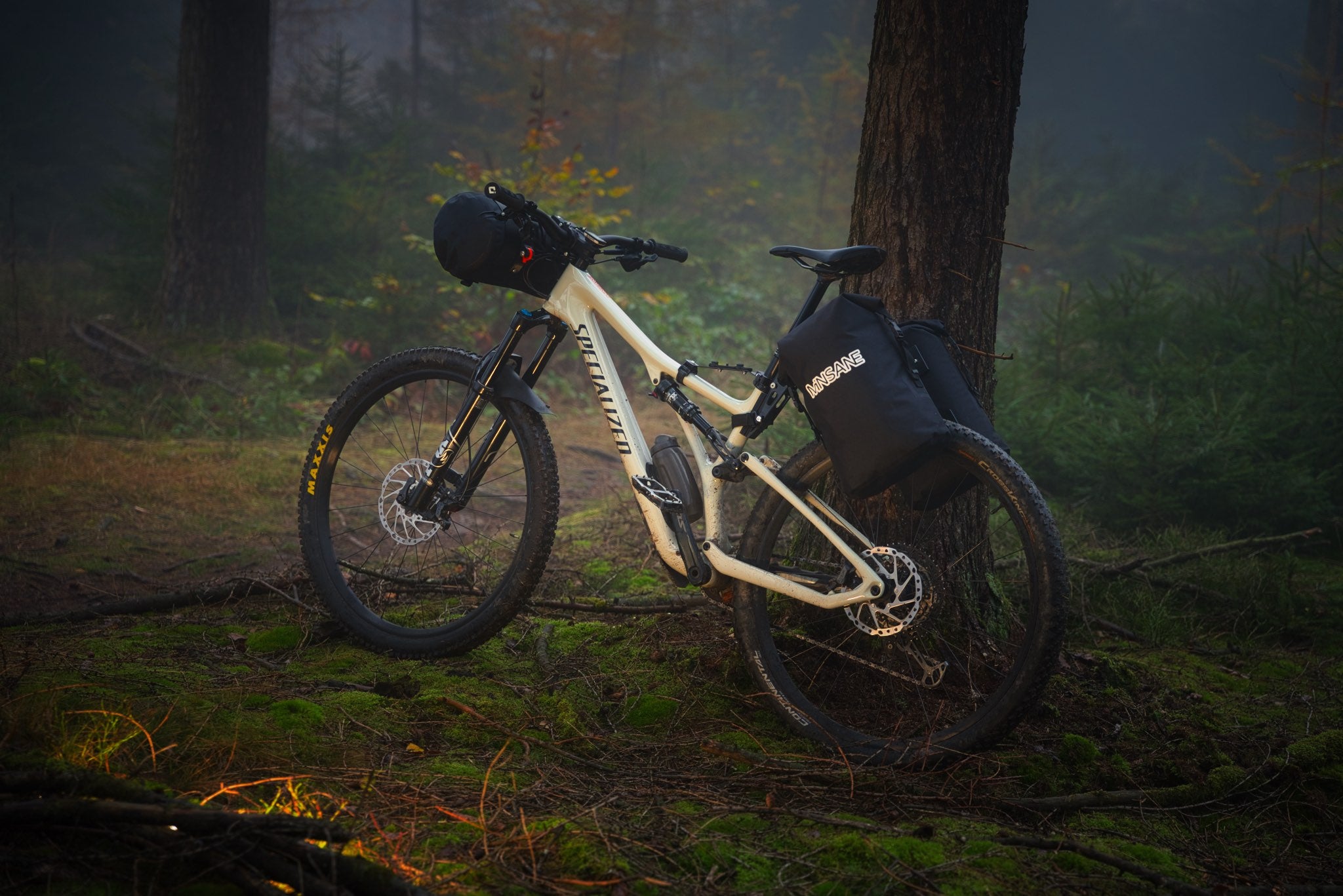 Mountainbike mit Minsane Gepäckträger im Wald